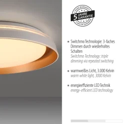 Deckenleuchten|Flurlampen*Just Light Blendarme LED Deckenlampe Weiß Messing Ø43 cm dimmbar