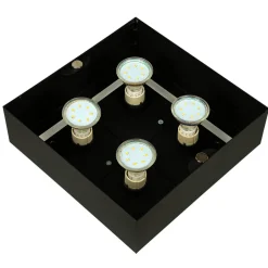 Sollux Deckenleuchte HYDRA in Schwarz 4-flmg< Deckenleuchten|Flurlampen