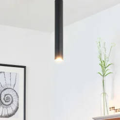 Spots|Küchenlampen*Nowodvorski Deckenspot Modern in Schwarz für den Esstisch