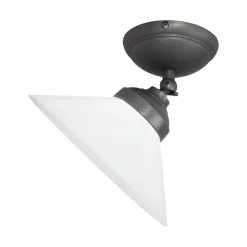 Spots|Badezimmer Lampe*Giovanni Battista Deckenspot schwenkbar Ø 24,5 cm Glas Messing E27