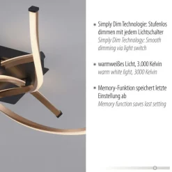 Deckenleuchten|Flurlampen*Paul Neuhaus Dimmbare LED Deckenlampe Schwarz Gold L:78 cm 4220 lm