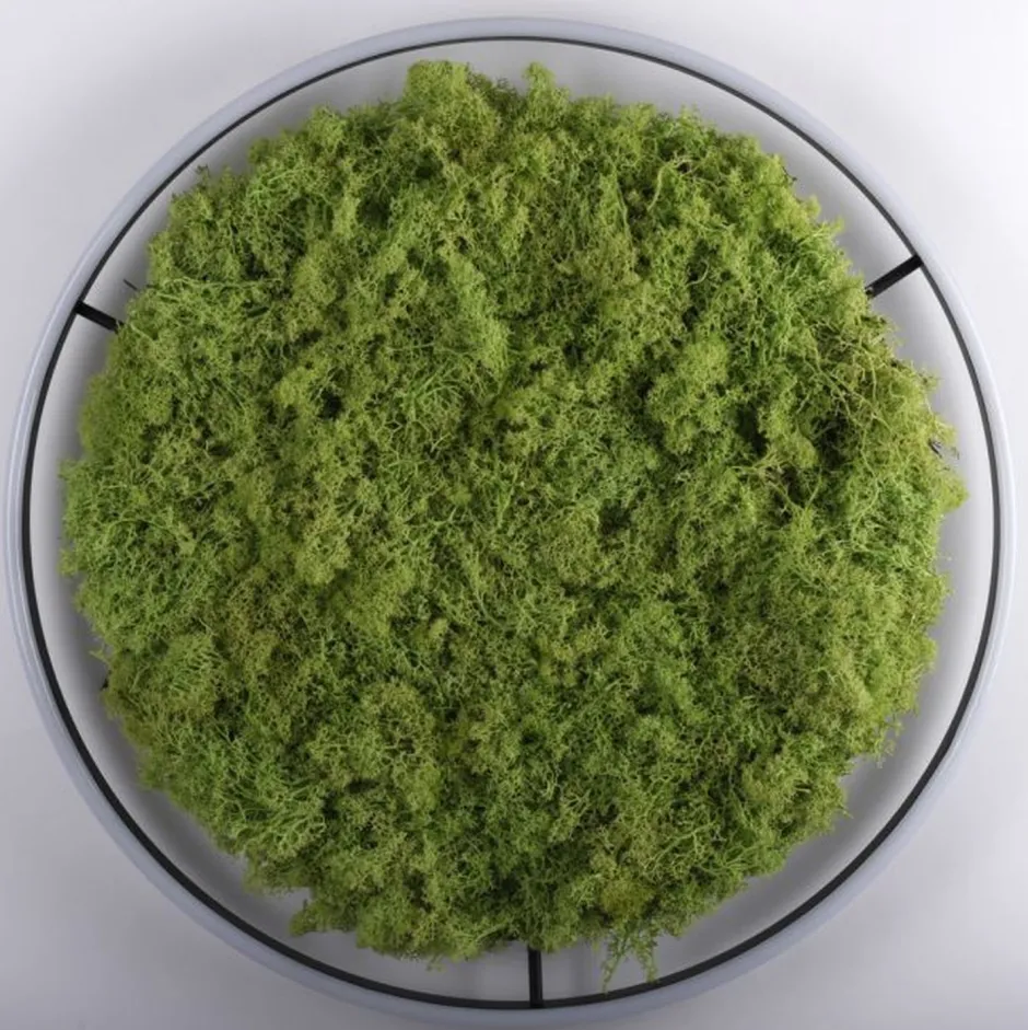 Wohnzimmerlampen|Schlafzimmer Lampen*Just Light Dimmbare LED Deckenlampe Moos Schwarz 3000 K 28 W