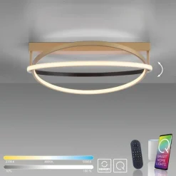 Paul Neuhaus Dimmbare LED Deckenleuchte in Messing Schwarz Ø59 cm< Deckenleuchten|Flurlampen