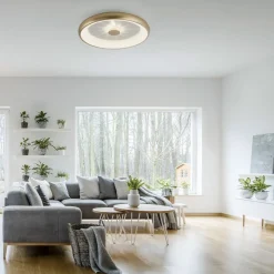 Flurlampen|Bürolampen*Just Light Dimmbare LED Deckenleuchte 2700-5000 K Ø61,5 cm Messing