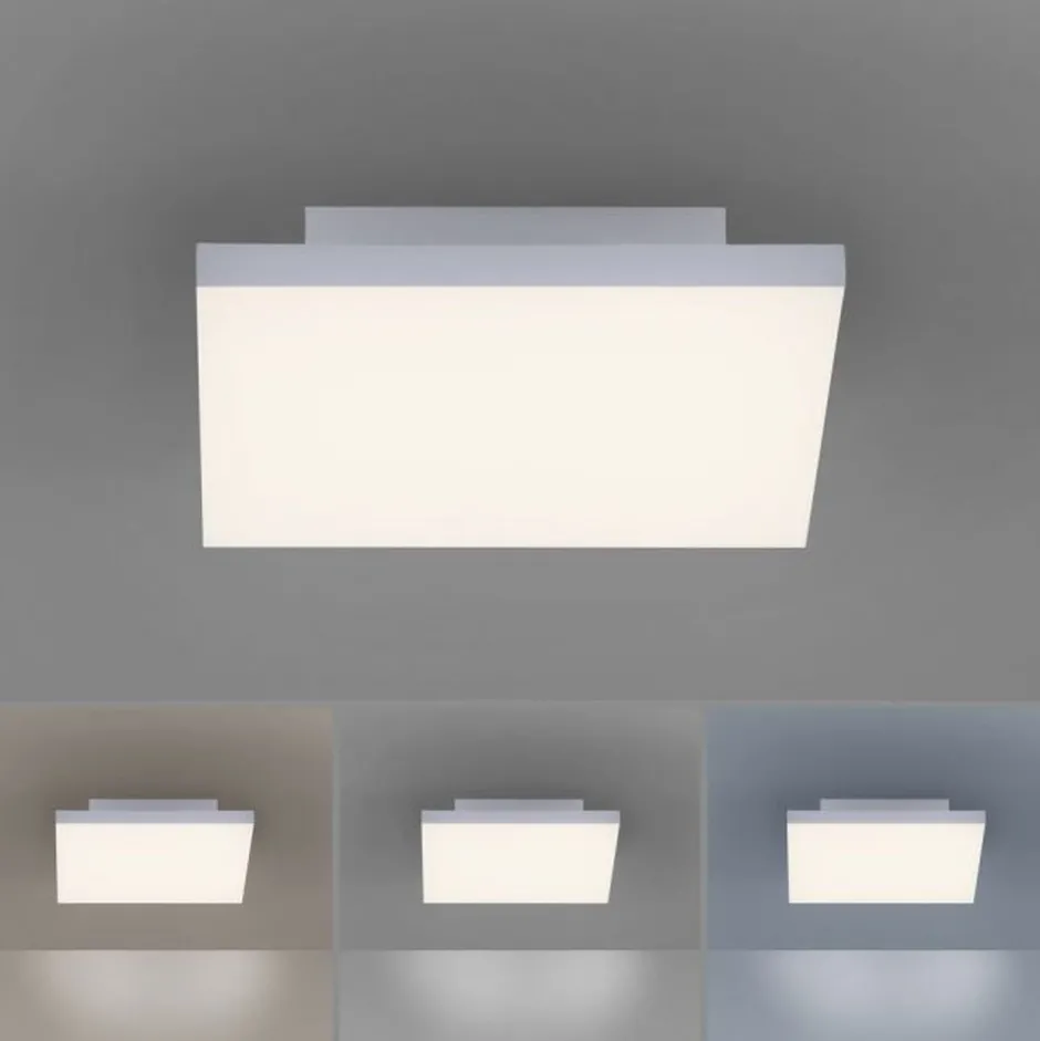 Paul Neuhaus Dimmbare LED Deckenleuchte Fernbedienung Weiß Memory< Deckenleuchten|Flurlampen