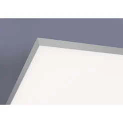 Deckenleuchten|Flurlampen*Paul Neuhaus Dimmbare LED Deckenleuchte Fernbedienung Weiß RGB flach