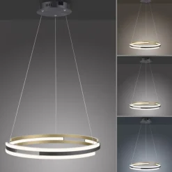 Hängelampen|Bürolampen*Paul Neuhaus Dimmbare LED Pendelleuchte Metall Schwarz Ø60 cm Ring