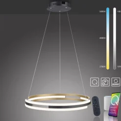 Hängelampen|Bürolampen*Paul Neuhaus Dimmbare LED Pendelleuchte Metall Schwarz Ø60 cm Ring