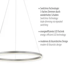 Just Light Dimmbare LED Pendelleuchte in Aluminium Ø58,5 cm 3000 K< Hängelampen|Bürolampen