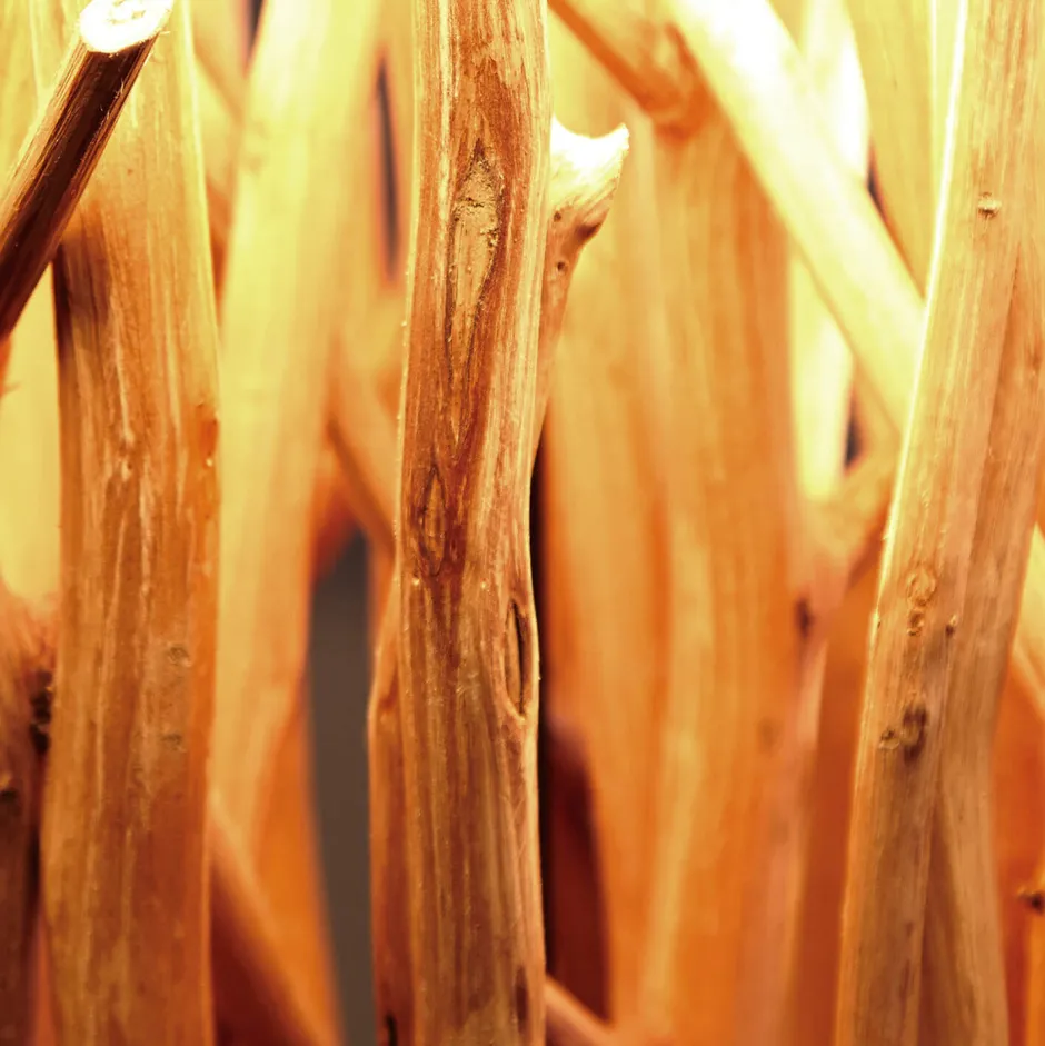 Moderne Lampen|Holzlampen*Invicta Interior Eindrucksvolle Stehleuchte Treibholz 175 cm Modern