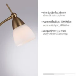 Paul Neuhaus Flexible Stehleuchte in Altmessing Dimmer Glas 163 cm< Metall Lampen|Glaslampen