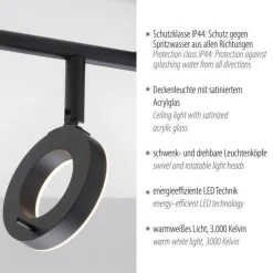 Deckenleuchten|Flurlampen*Paul Neuhaus Flexibler LED Deckenspot Anthrazit IP44 50 cm blendarm