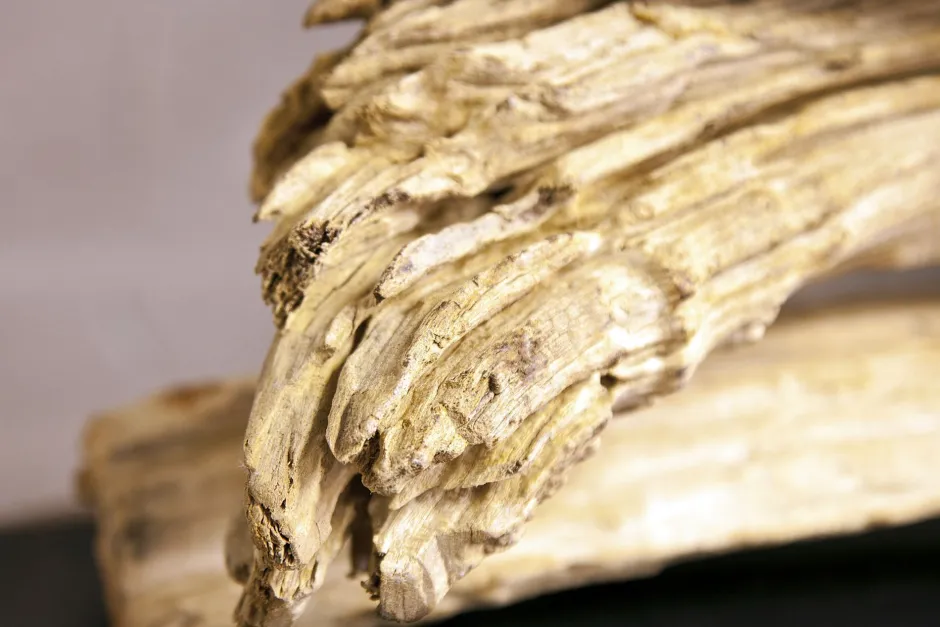 Invicta Interior Individuelle Tischlampe 50cmx80cm Treibholz< Tischlampen|Moderne Lampen