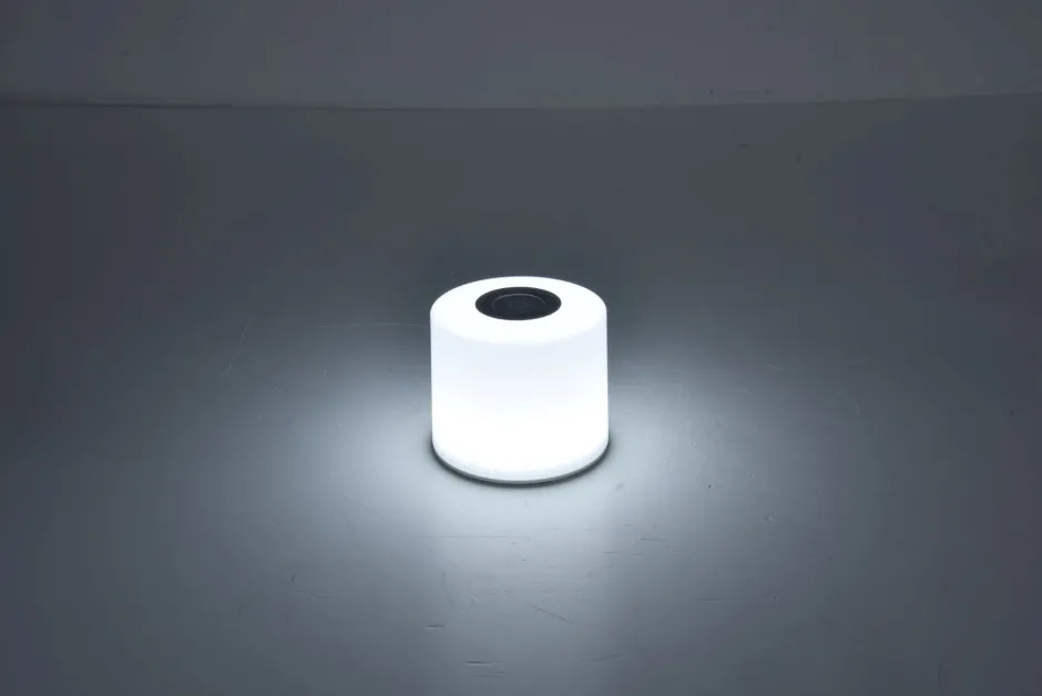 Led Außenleuchten|Moderne Außenleuchten*Eco-Light LED Akku Tischlampe dimmbar 8,5 cm IP44 2700-6500 K 2 W