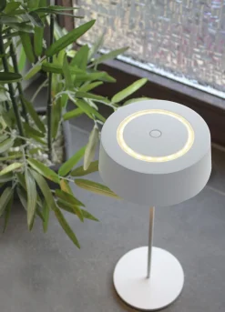 Metall Lampen|Led Außenleuchten*Eco-Light LED Akku Tischlampe Weiß Touch Dimmer USB IP54 3000 K