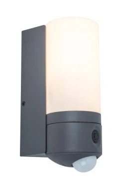 Metall Lampen|Led Außenleuchten*Eco-Light LED Außenleuchte Wand Bewegungssensor IP44 2700-6500 K
