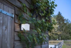 Eco-Light LED Außenwandlampe Anthrazit Aluminium IP54 4000 K 19 W< Metall Lampen|Led Außenleuchten