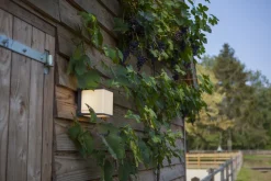 Metall Lampen|Led Außenleuchten*Eco-Light LED Außenwandlampe Anthrazit Aluminium IP54 3000 K 19 W