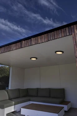 Led Außenleuchten|Deckenleuchten Außen*Eco-Light LED Deckenlampe außen Anthrazit Aluminium IP54 Ø30,5 cm