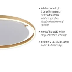 Just Light LED Deckenlampe dimmbar Ø58,5 cm 3650 lm in Messing< Deckenleuchten|Flurlampen