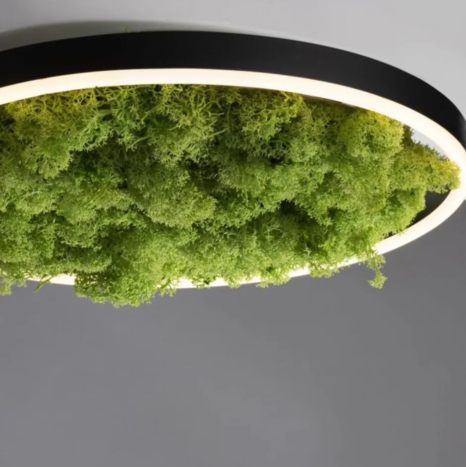 Just Light LED Deckenlampe Moos Schwarz 3000 K 2650 lm dimmbar< Wohnzimmerlampen|Schlafzimmer Lampen