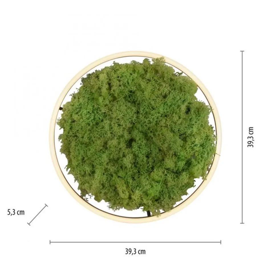 Just Light LED Deckenlampe Moos Schwarz 3000 K 2650 lm dimmbar< Wohnzimmerlampen|Schlafzimmer Lampen