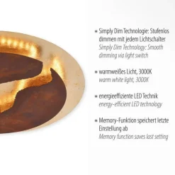 Deckenleuchten|Flurlampen*Paul Neuhaus LED Deckenleuchte dimmbar Rostbraun Gold Ø50 cm 3000 K