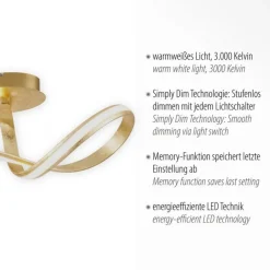 Deckenleuchten|Flurlampen*Paul Neuhaus LED Deckenleuchte dimmbar Metall in Gold 2050 lm Modern