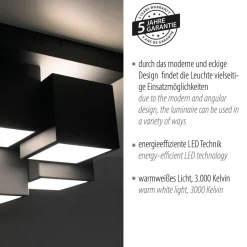 Just Light LED Deckenleuchte Metall Würfel B:30 cm 2400 lm Schwarz< Deckenleuchten|Flurlampen