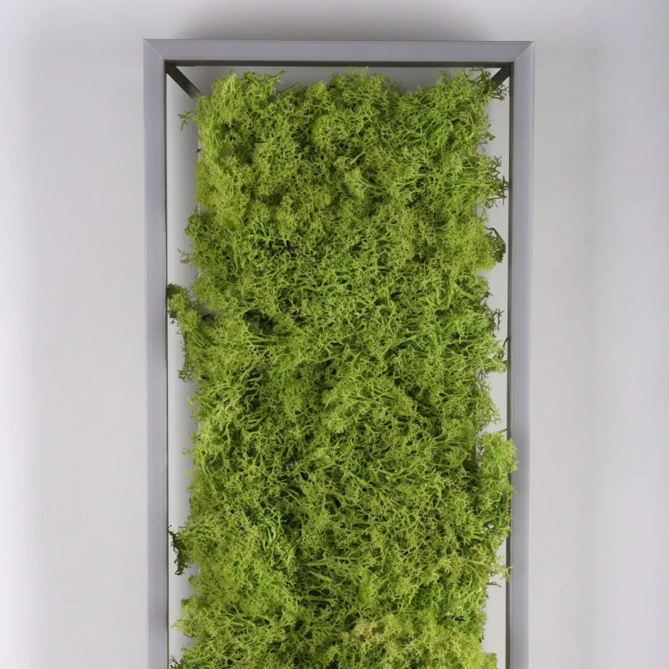 Just Light LED Deckenleuchte Moos L:100 cm 3000 K 3550 lm aus Moos< Deckenleuchten|Flurlampen