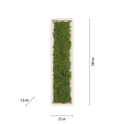 Just Light LED Deckenleuchte Moos L:100 cm 3000 K 3550 lm aus Moos< Deckenleuchten|Flurlampen