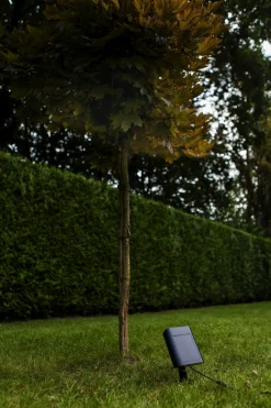 Eco-Light LED Erdspießstrahler mit Bewegungsmelder IP54 flexibel< Led Außenleuchten|Fassadenstrahler