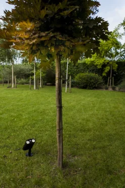 Eco-Light LED Erdspießstrahler mit Bewegungsmelder IP54 flexibel< Led Außenleuchten|Fassadenstrahler