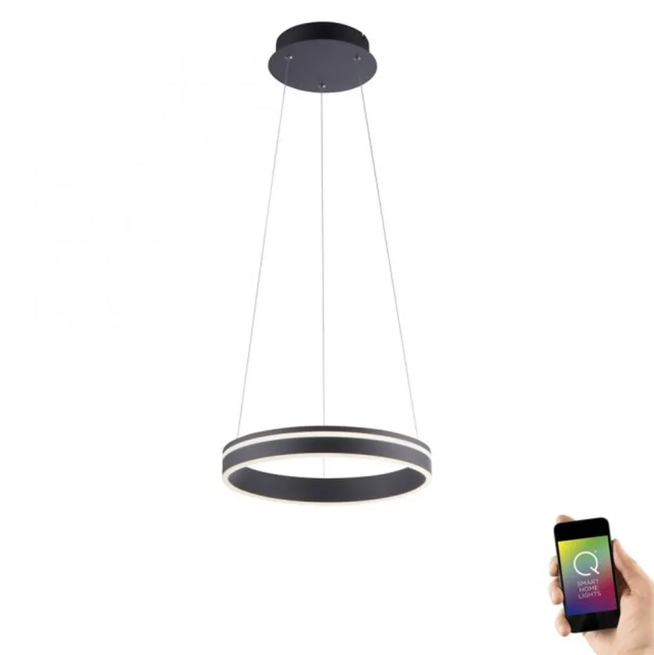 Paul Neuhaus LED Hängelampe Anthrazit Ring dimmbar Fernbedienung< Hängelampen|Bürolampen
