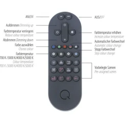 Hängelampen|Bürolampen*Paul Neuhaus LED Hängelampe Glas in Messing 2-flammig Fernbedienung
