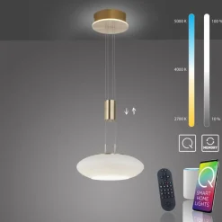 Hängelampen|Bürolampen*Paul Neuhaus LED Hängelampe Glas in Messing dimmbar Fernbedienung