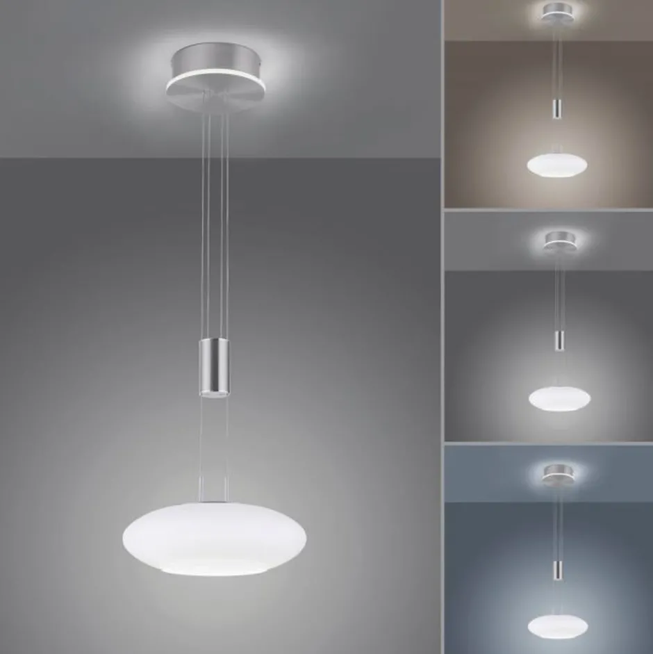 Paul Neuhaus LED Hängelampe Glasschirm dimmbar Fernbedienung 4350 lm< Wohnzimmerlampen|Glaslampen