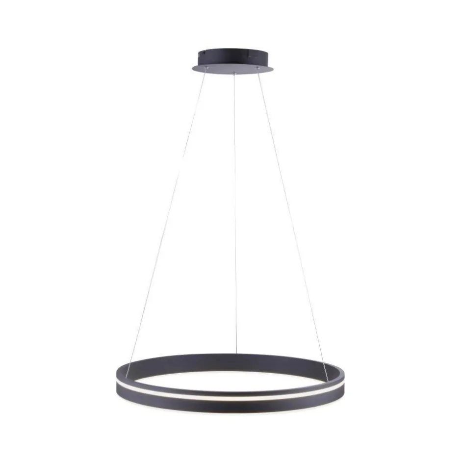 Paul Neuhaus LED Hängelampe Ring Ø59 cm 38 W dimmbar Fernbedienung< Hängelampen|Bürolampen