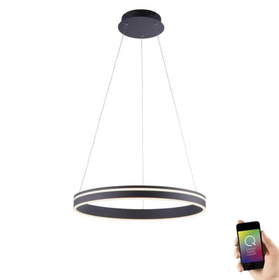 Paul Neuhaus LED Hängelampe Ring Ø59 cm 38 W dimmbar Fernbedienung< Hängelampen|Bürolampen
