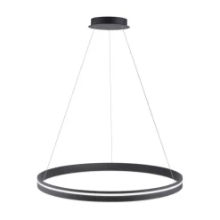 Hängelampen|Bürolampen*Paul Neuhaus LED Hängelampe Ring Anthrazit Ø79 cm 7000 lm dimmbar