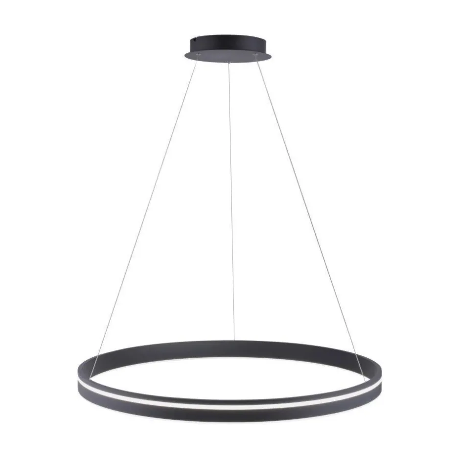 Hängelampen|Bürolampen*Paul Neuhaus LED Hängelampe Ring Anthrazit Ø79 cm 7000 lm dimmbar