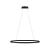 Paul Neuhaus LED Pendelleuchte Anthrazit oval 3000 K L:80 cm dimmbar< Hängelampen|Bürolampen
