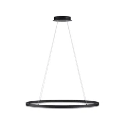 Paul Neuhaus LED Pendelleuchte Anthrazit oval 3000 K L:80 cm dimmbar< Hängelampen|Bürolampen