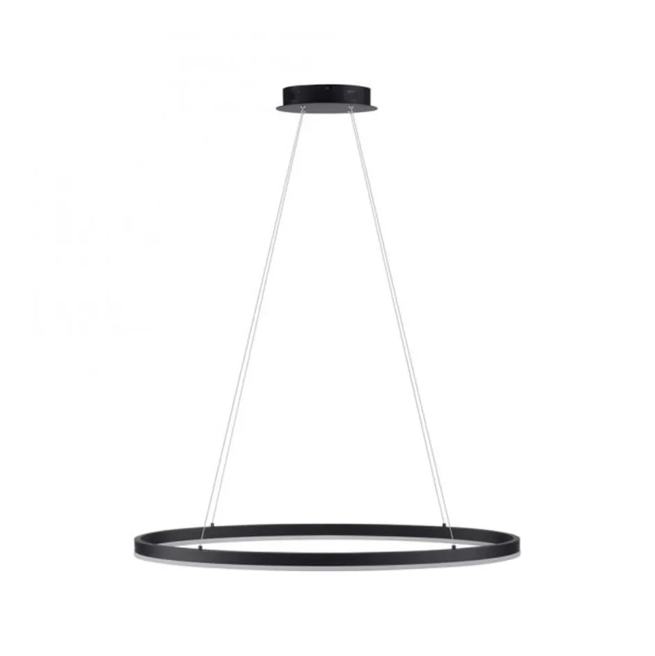 Paul Neuhaus LED Pendelleuchte Anthrazit oval 3000 K L:80 cm dimmbar< Hängelampen|Bürolampen