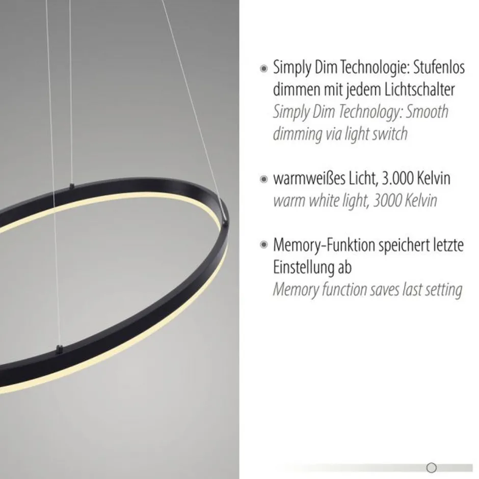 Paul Neuhaus LED Pendelleuchte Anthrazit oval 3000 K L:80 cm dimmbar< Hängelampen|Bürolampen