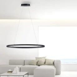 Paul Neuhaus LED Pendelleuchte Anthrazit oval 3000 K L:80 cm dimmbar< Hängelampen|Bürolampen