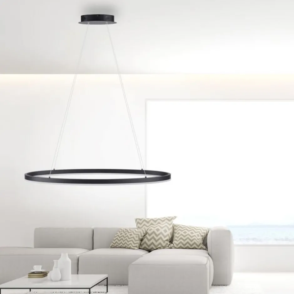 Paul Neuhaus LED Pendelleuchte Anthrazit oval 3000 K L:80 cm dimmbar< Hängelampen|Bürolampen