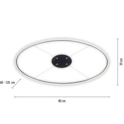 Paul Neuhaus LED Pendelleuchte Anthrazit oval 3000 K L:80 cm dimmbar< Hängelampen|Bürolampen
