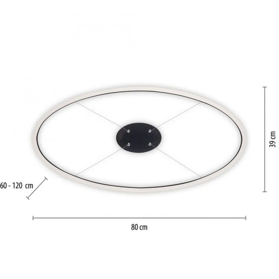 Paul Neuhaus LED Pendelleuchte Anthrazit oval 3000 K L:80 cm dimmbar< Hängelampen|Bürolampen