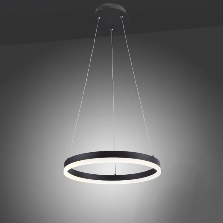 Hängelampen|Bürolampen*Paul Neuhaus LED Pendelleuchte Anthrazit warmweiß 3000 K Ø40 cm Ring